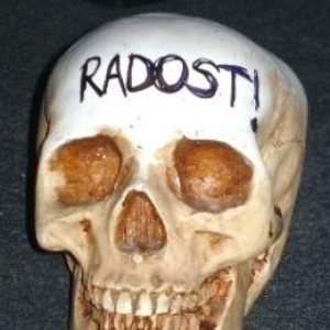 Image for 'Radost!'