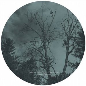L'Abbattimento E.P.