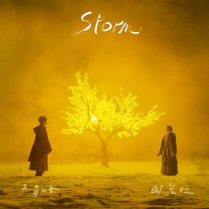 Изображение для 'Storm'