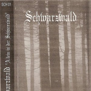 Allein in der Schwarzwald