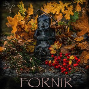 Fornir