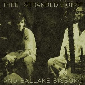 Thee Stranded Horse and Ballake Sissoko 的头像