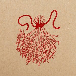 The Letting Go - Single