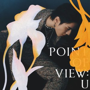 Bild für 'Point Of View: U'