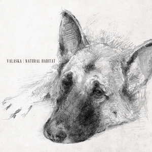 Golden Age Valaska Lyrics Song Meanings Videos Full Albums Bios sonichits