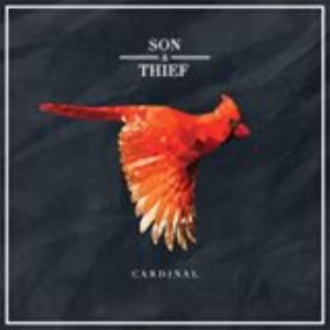 Son & Thief 的头像