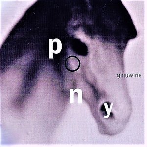 Pony (The Bass Mixes)