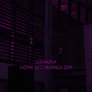 Home Recordings 2011