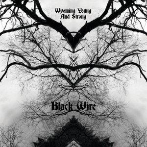 Black Wire