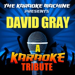 The Karaoke Machine Presents - David Gray
