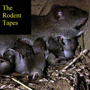 The Rodent Tapes