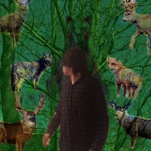 DEAD ANIMAL