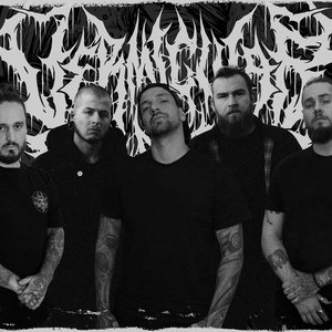 Avatar for Vermicular Incubation