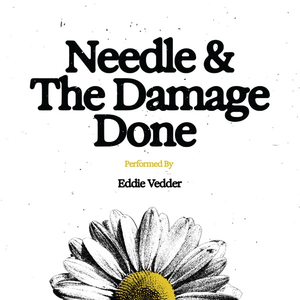 Eddie Vedder - Needle And The Damage Done Lyrics - Zortam Music