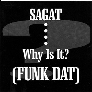 “Funk Dat(Why Is It?)”的封面