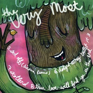 Lions And Eagles / The Very Most Split EP