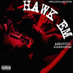 Hawk Em (feat. Glokk40Spaz) - Single