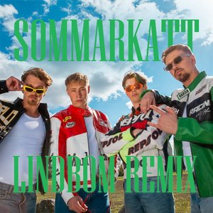 Sommarkatt