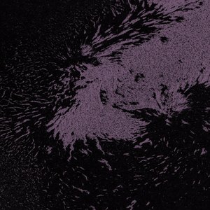 Something Akin to Lust - Single