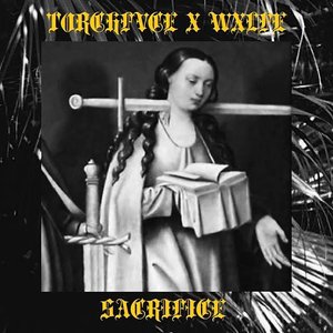 Avatar för TORCHFVCE x WXLFE