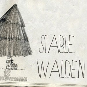 Stable Walden 的头像