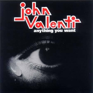 Anything You Want cover