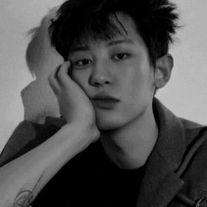Park Chanyeol (EXO) 的头像