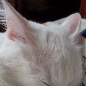 Avatar for 117_Yena