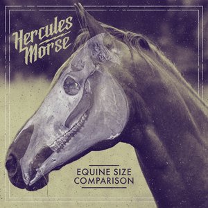 Equine Size Comparison
