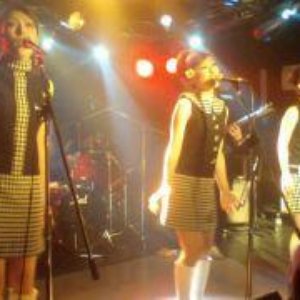 The Margarettes 的头像