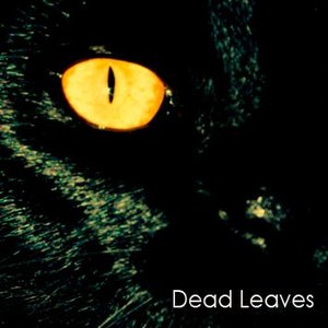 Dead Leaves