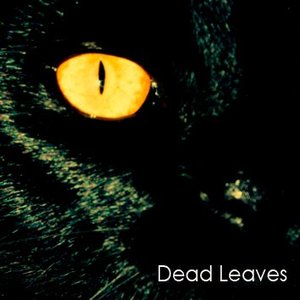 Dead Leaves