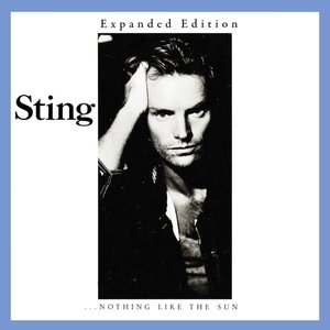 ...Nothing Like The Sun (Expanded Edition)