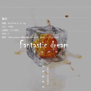 荒诞的梦