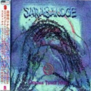 Sarabandge のアバター