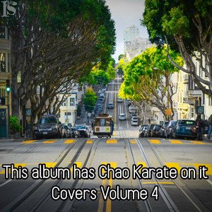 This Album Has Chao Karate On It (Covers Volume 4)