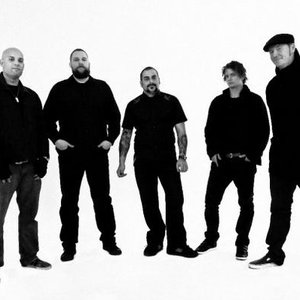 Charm Offensive 的头像