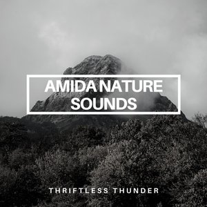 Thriftless Thunder - Single