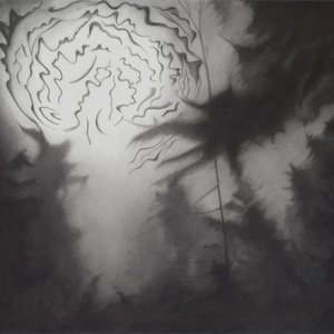 Phenomena