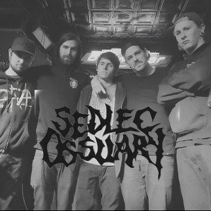 “Sedlec Ossuary”的封面
