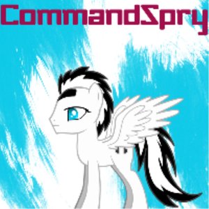 CommandSpry のアバター