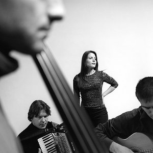 Image for 'Helin-Mari Arderi Trio'