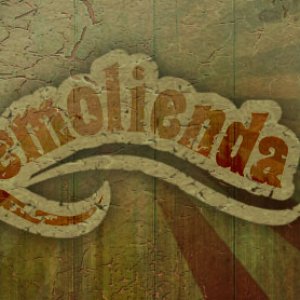 Avatar for Remolienda
