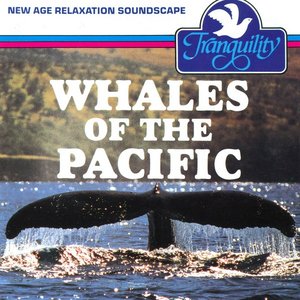 Whales Of The Pacific
