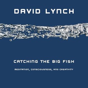 Catching the Big Fish: Meditation, Consciousness, and Creativity