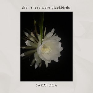 Saratoga