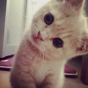 youre always on my mind!