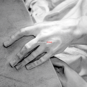 Cover The National – Mr November - Live in Rome