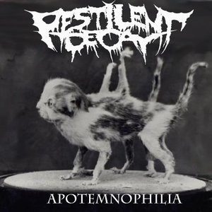 Apotemnophilia