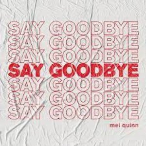 say goodbye